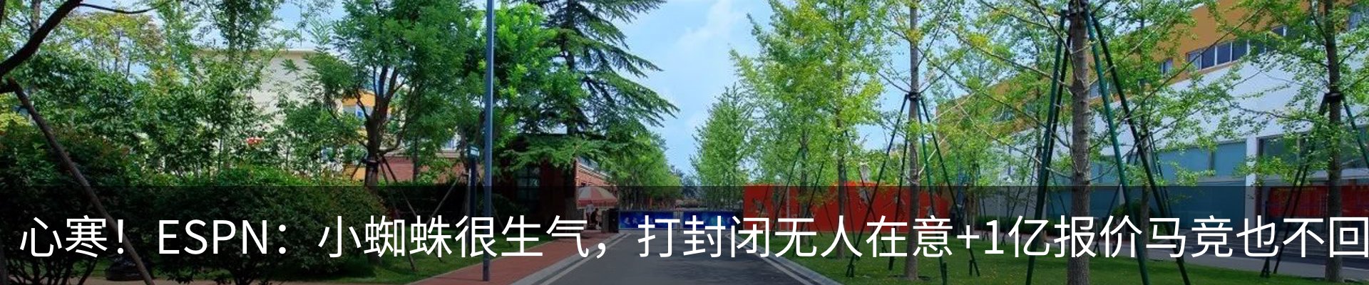 资讯动态