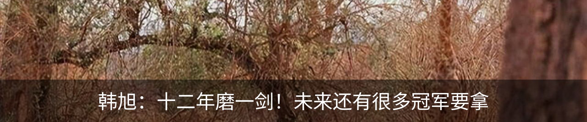 资讯动态