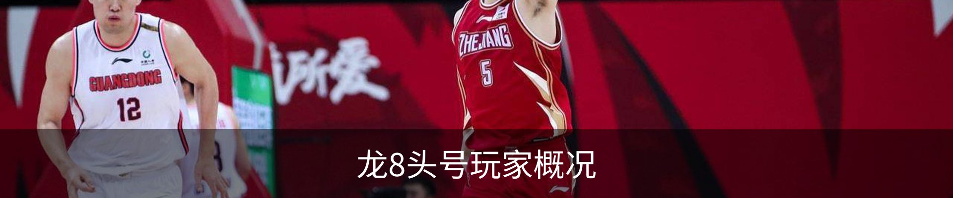 龙8头号玩家概况